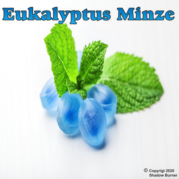 Eukalyptus Minze Aroma 10 ml